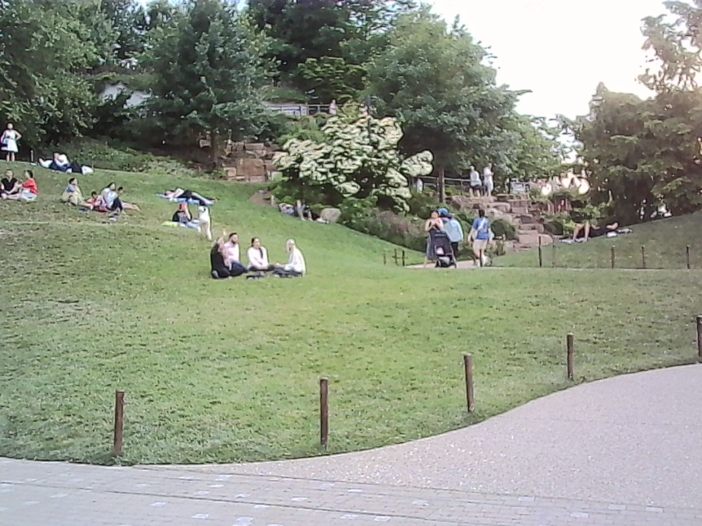 Afternoon on a park hillside