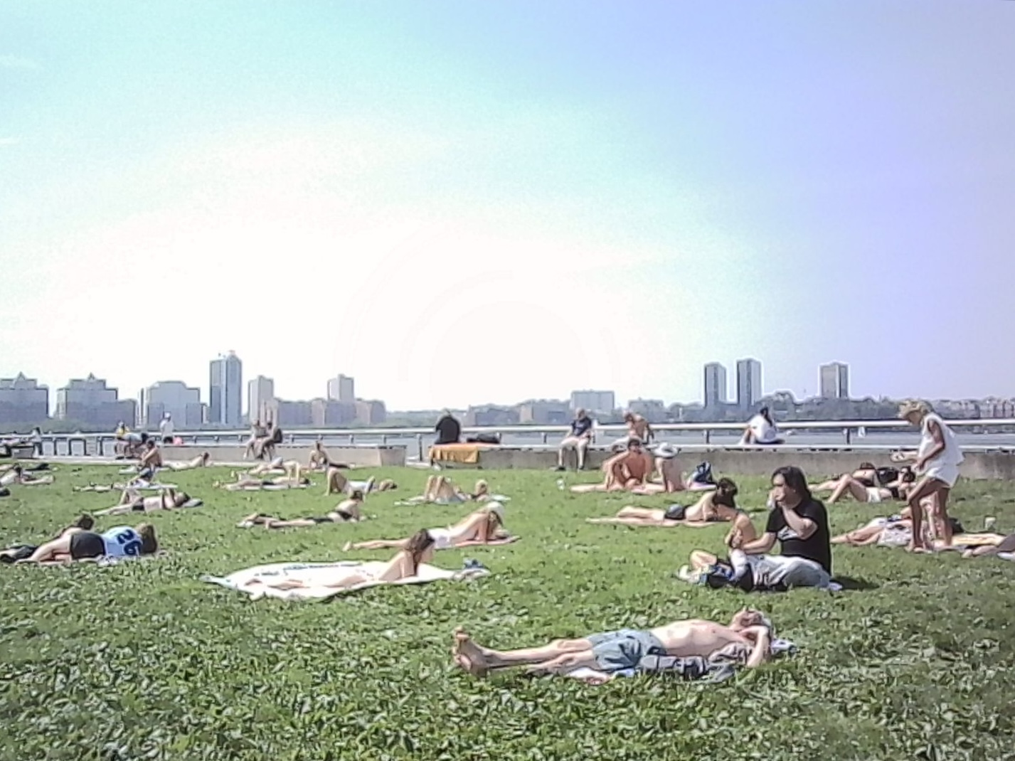 Sunbathers on a riverside lawn